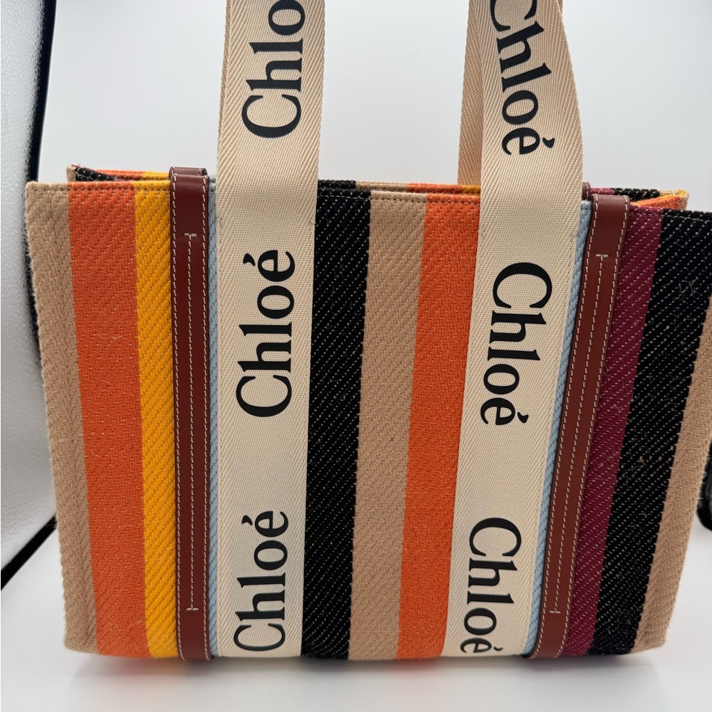 Chloe Medium Woody Tote Multicolor Striped Canvas